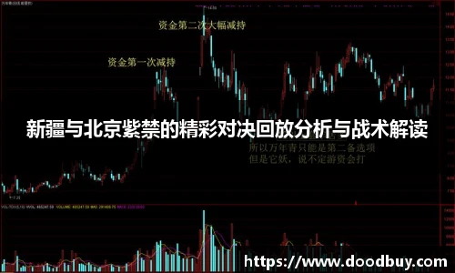 新疆与北京紫禁的精彩对决回放分析与战术解读