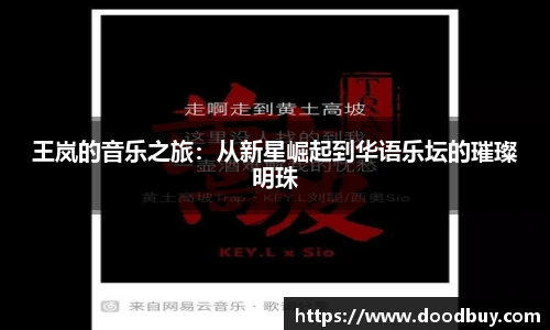 王岚的音乐之旅：从新星崛起到华语乐坛的璀璨明珠